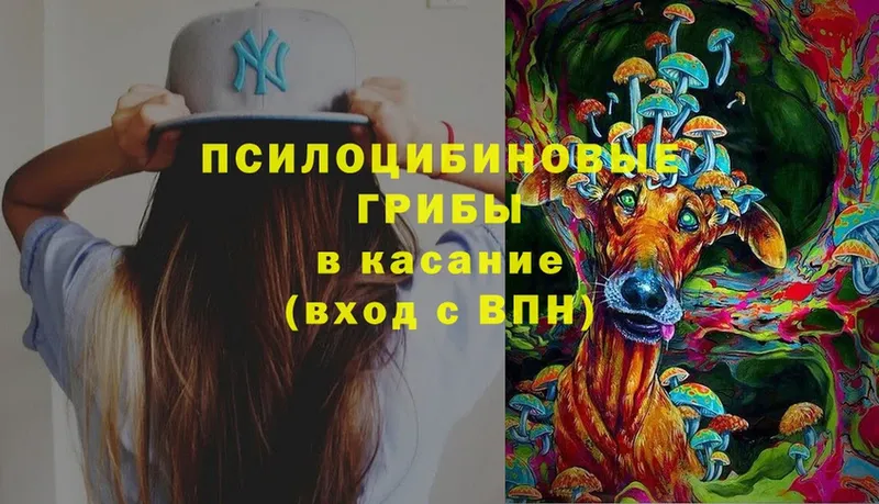 МЕГА   Гдов  Псилоцибиновые грибы Magic Shrooms  закладки 